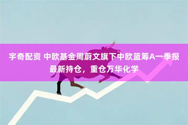 宇奇配资 中欧基金周蔚文旗下中欧蓝筹A一季报最新持仓，重仓万华化学