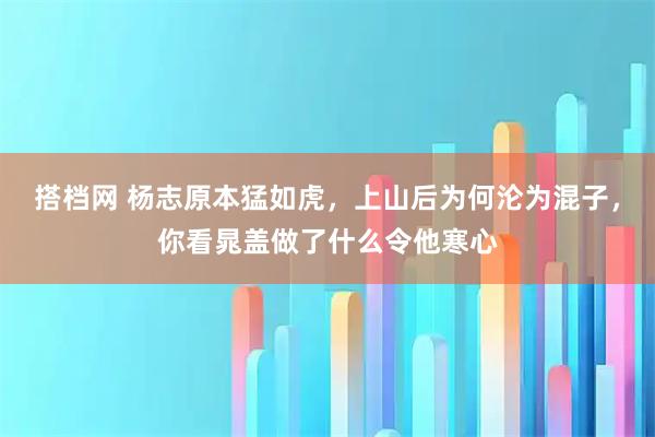 搭档网 杨志原本猛如虎，上山后为何沦为混子，你看晁盖做了什么令他寒心