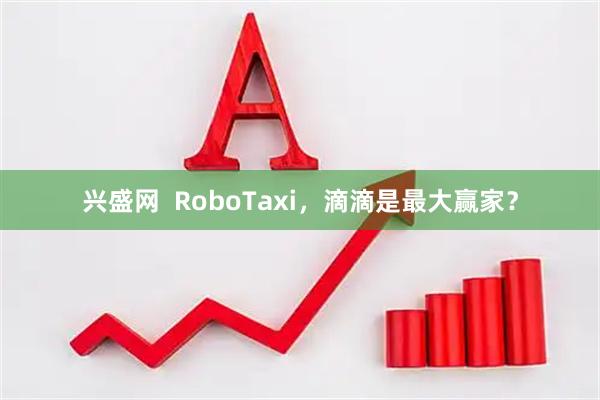 兴盛网  RoboTaxi，滴滴是最大赢家？